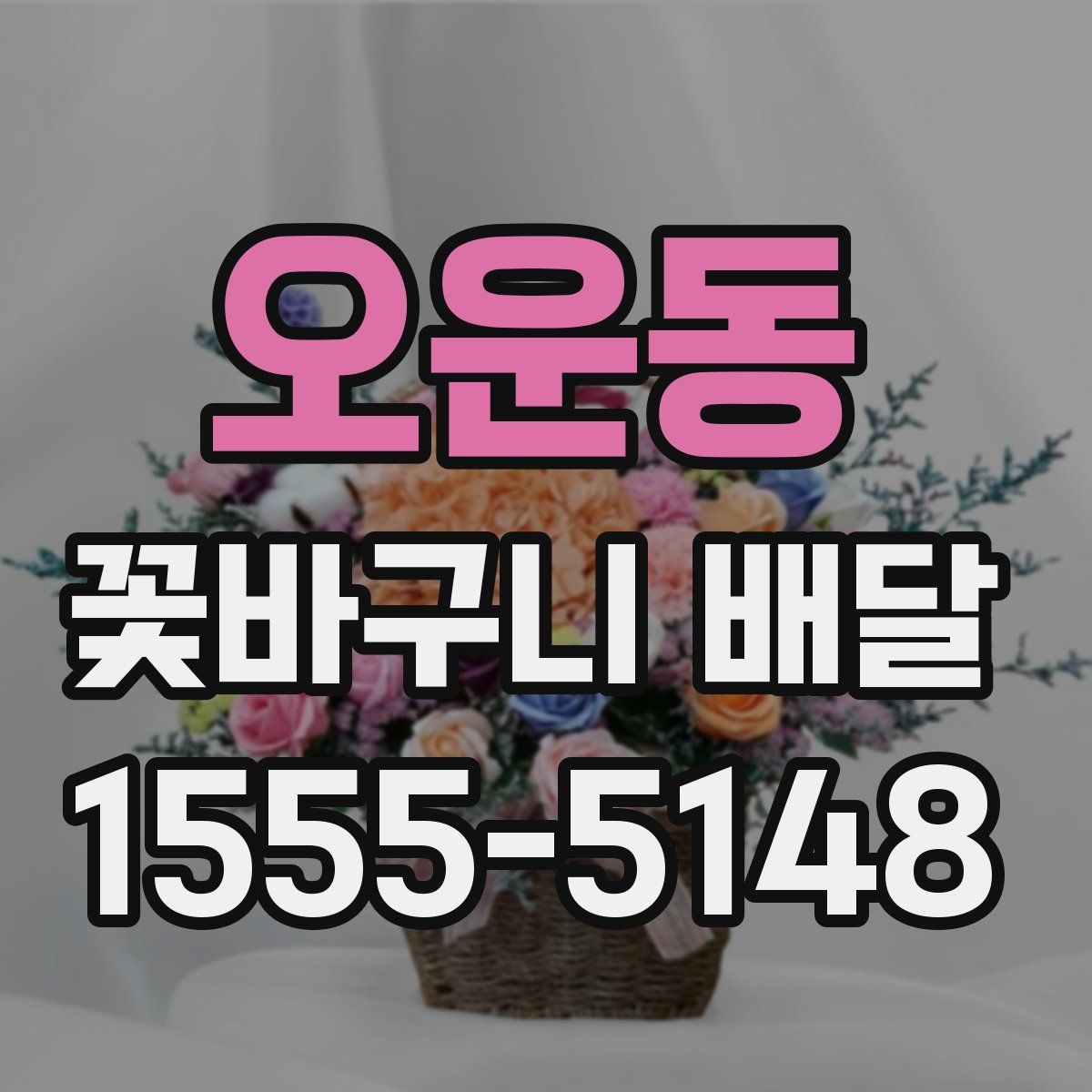 오운동 꽃바구니 배달