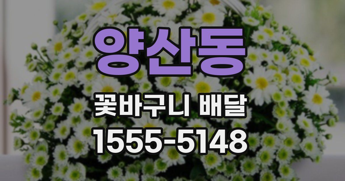 양산동 꽃바구니 배달