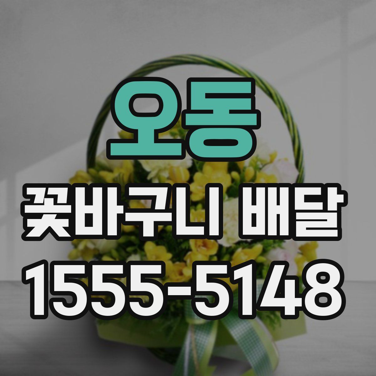 오동 꽃바구니 배달