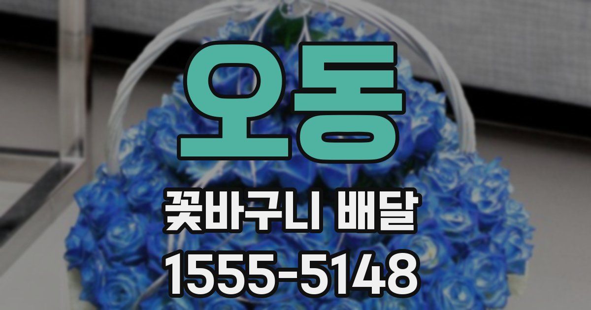 오동 꽃바구니 배달