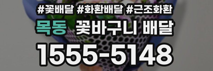 목동 꽃바구니 배달