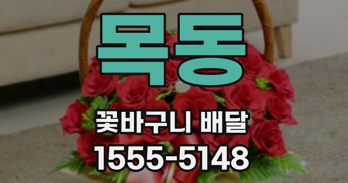 목동 꽃바구니 배달