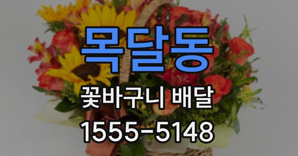 목달동 꽃바구니 배달