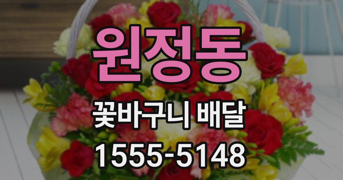 원정동 꽃바구니 배달