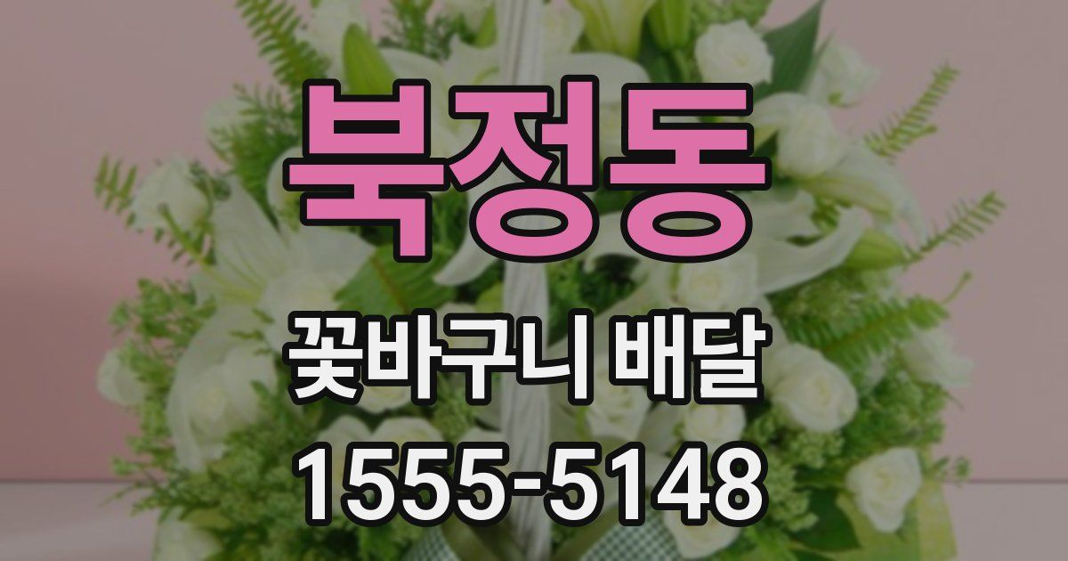북정동 꽃바구니 배달