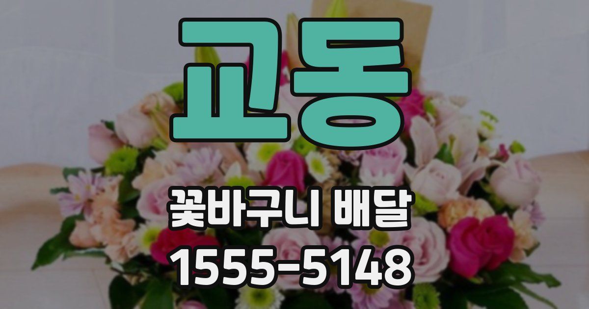 교동 꽃바구니 배달