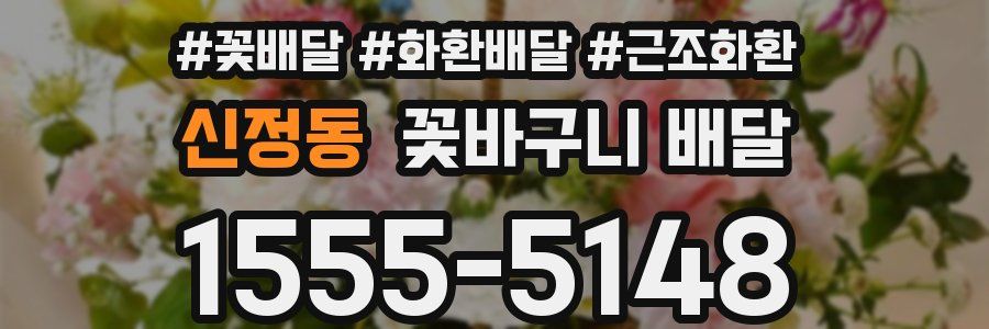 신정동 꽃바구니 배달