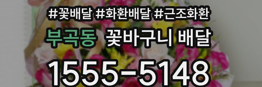부곡동 꽃바구니 배달