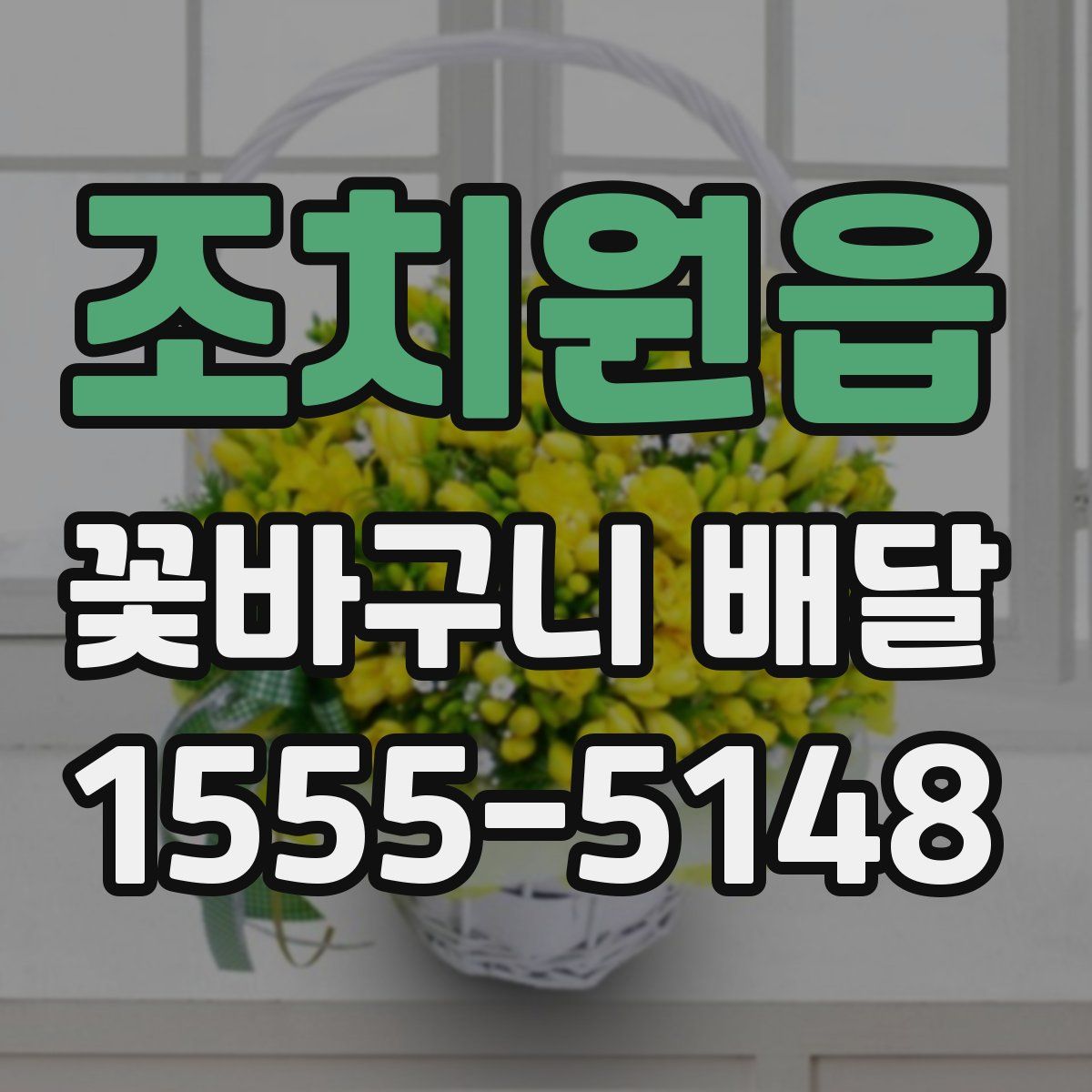 조치원읍 꽃바구니 배달