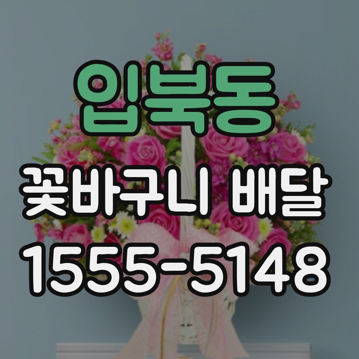 입북동 꽃바구니 배달 구성별 차이와 선택 기준