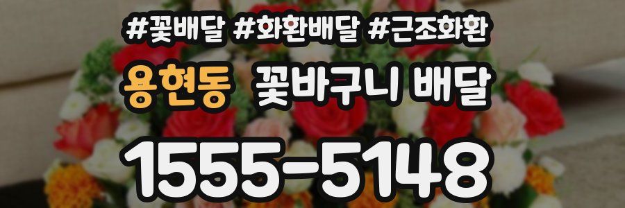 용현동 꽃바구니 배달