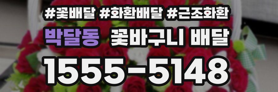 박달동 꽃바구니 배달