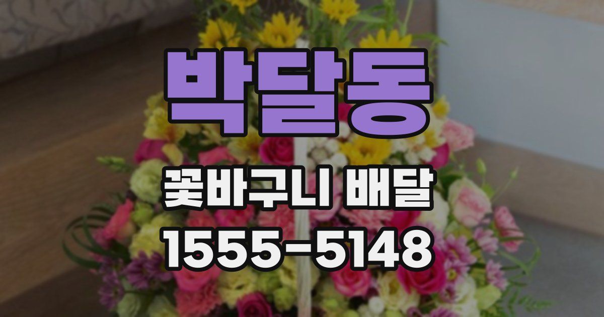 박달동 꽃바구니 배달