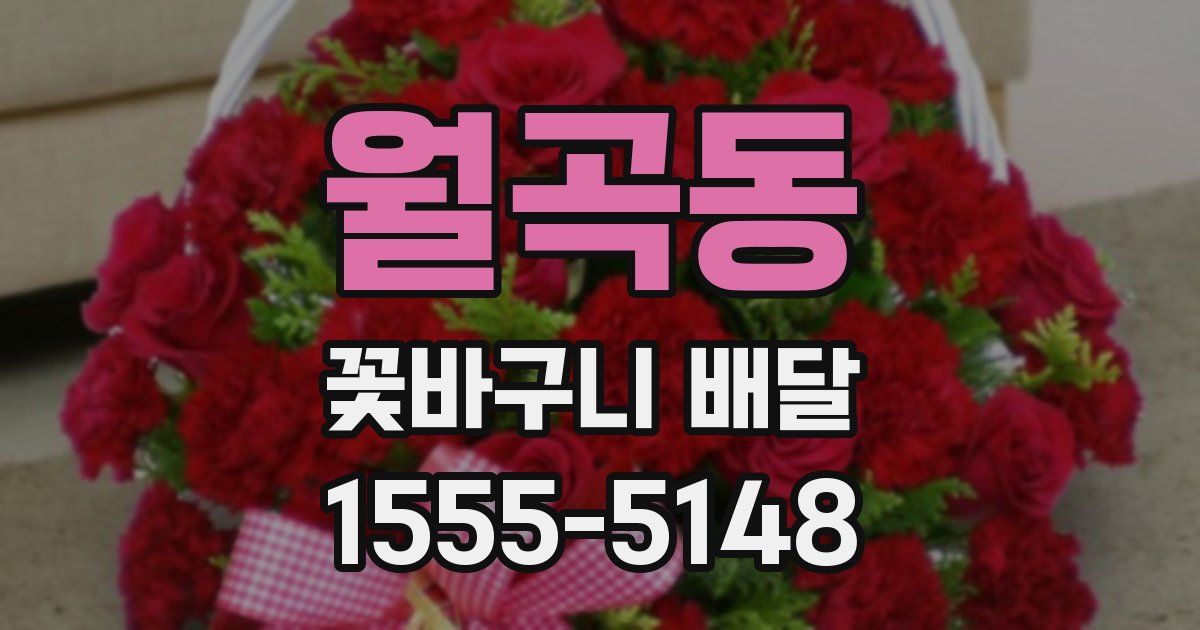 월곡동 꽃바구니 배달