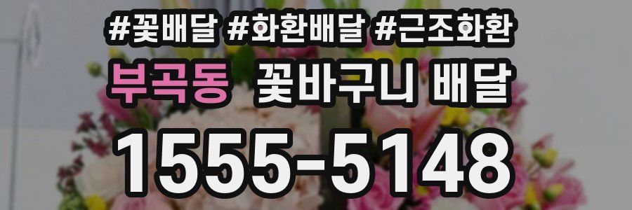 부곡동 꽃바구니 배달