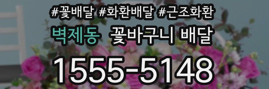 벽제동 꽃바구니 배달