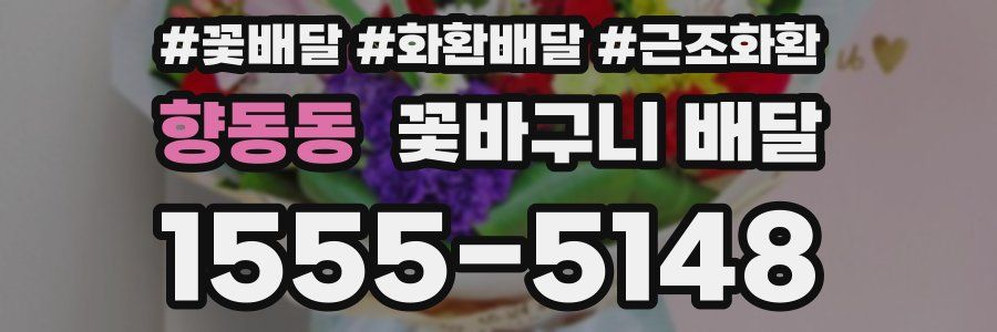 향동동 꽃바구니 배달