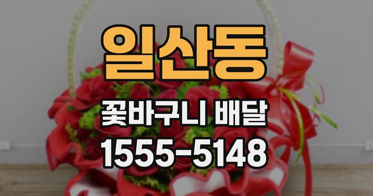 일산동 꽃바구니 배달