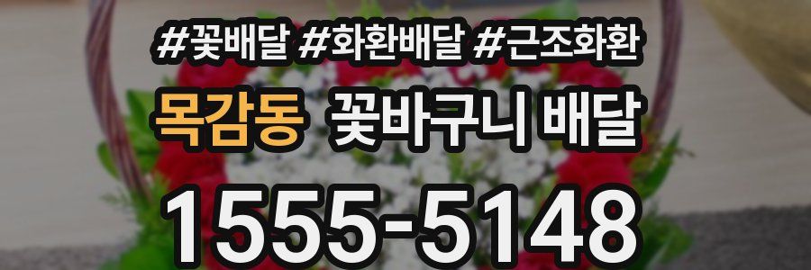 목감동 꽃바구니 배달