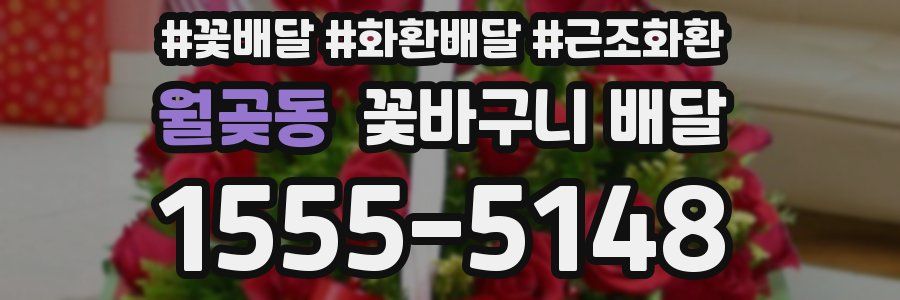 월곶동 꽃바구니 배달