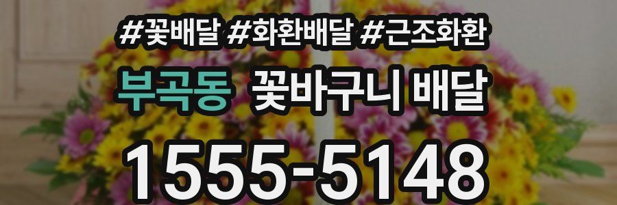 부곡동 꽃바구니 배달