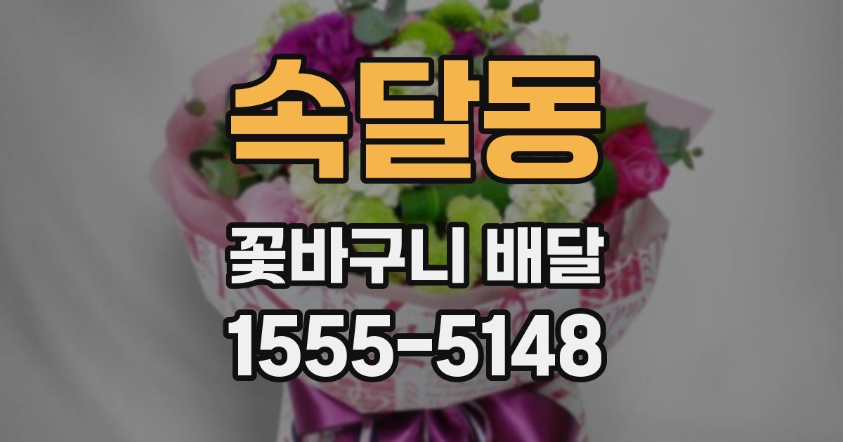 속달동 꽃바구니 배달