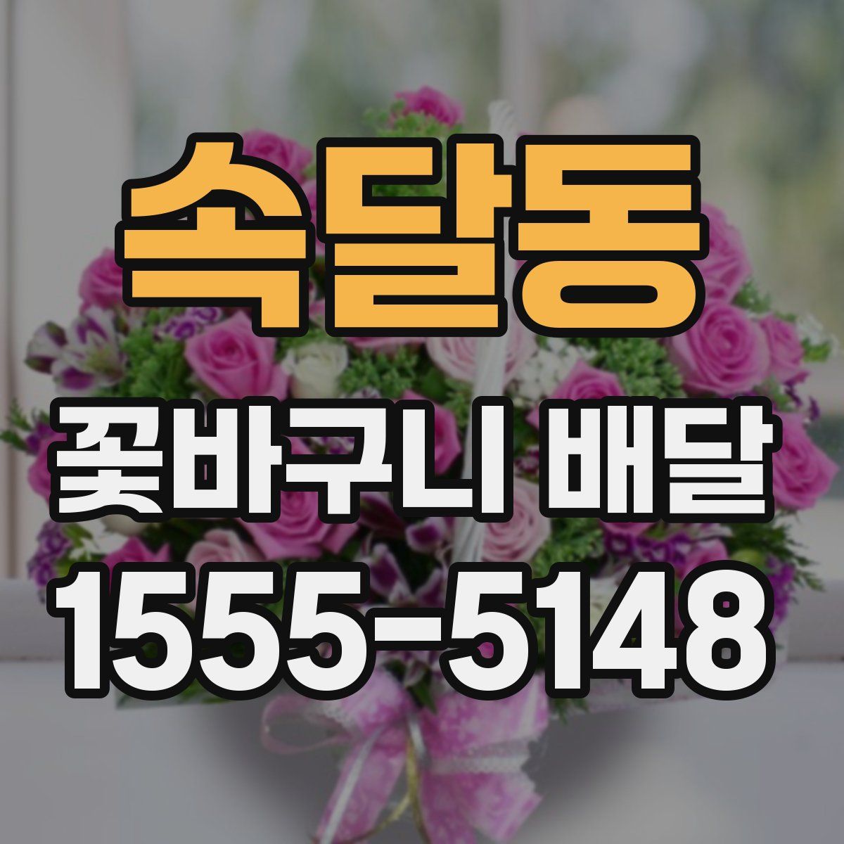 속달동 꽃바구니 배달