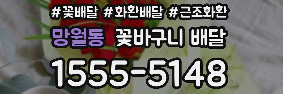 망월동 꽃바구니 배달
