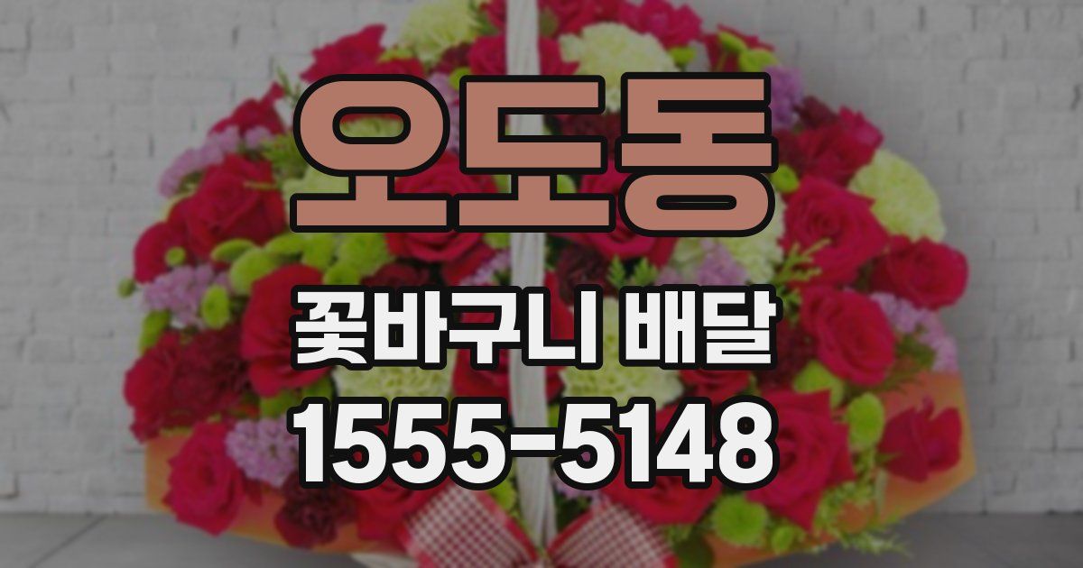 오도동 꽃바구니 배달
