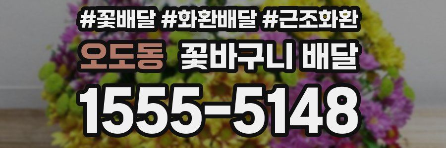오도동 꽃바구니 배달