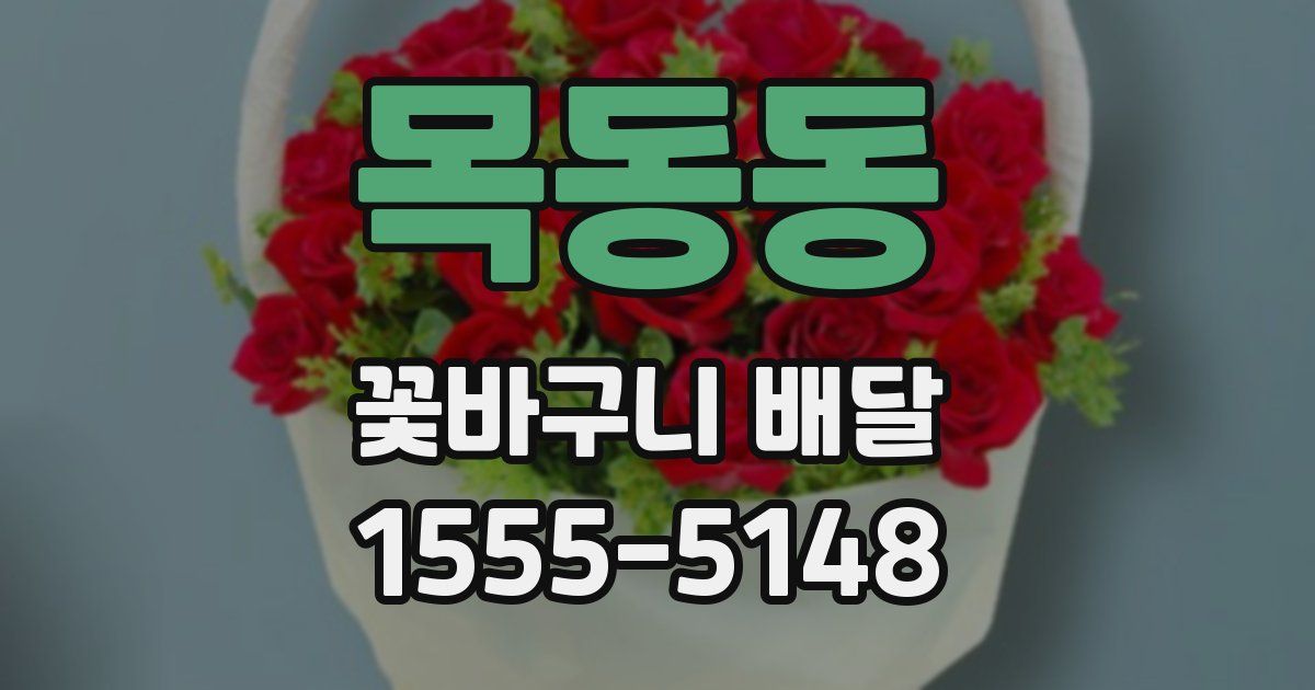 목동동 꽃바구니 배달