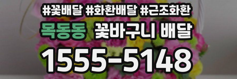 목동동 꽃바구니 배달
