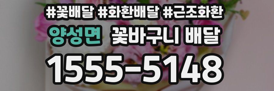양성면 꽃바구니 배달