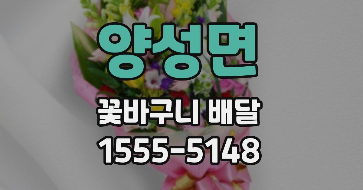 양성면 꽃바구니 배달