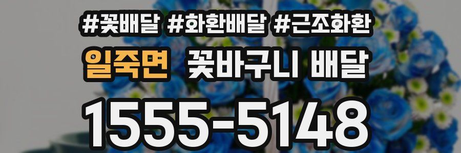 일죽면 꽃바구니 배달
