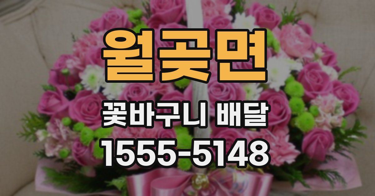 월곶면 꽃바구니 배달