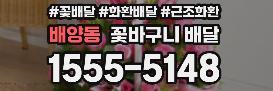 배양동 꽃바구니 배달