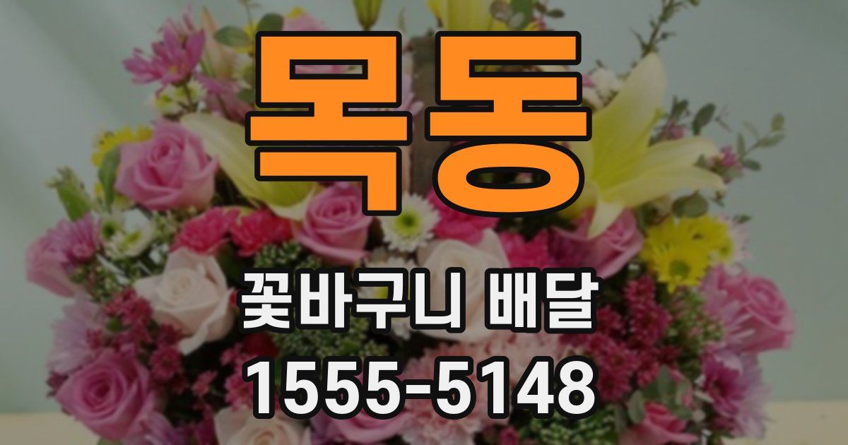 목동 꽃바구니 배달
