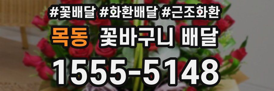 목동 꽃바구니 배달