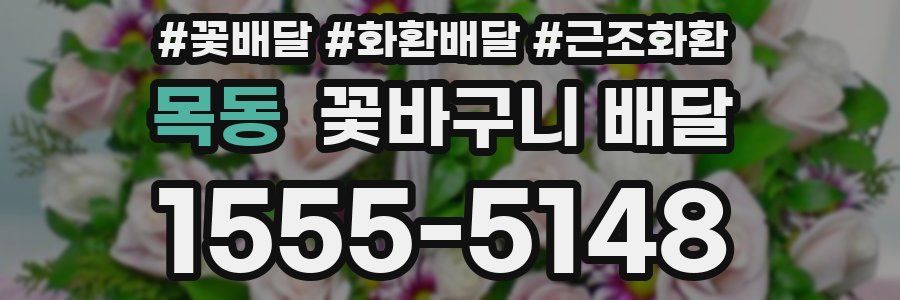 목동 꽃바구니 배달