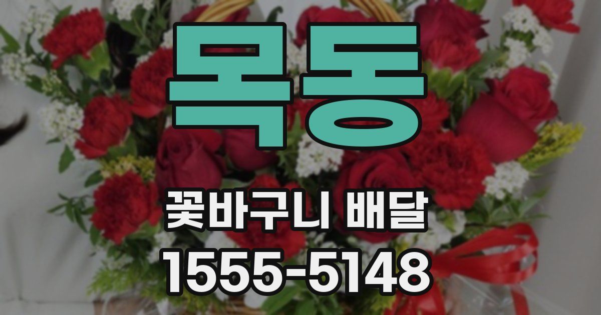 목동 꽃바구니 배달