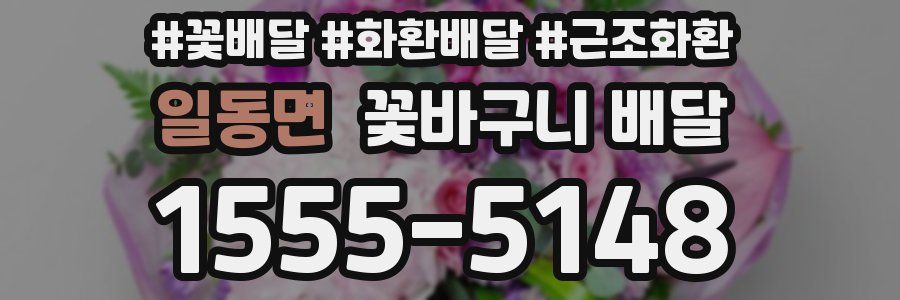 일동면 꽃바구니 배달