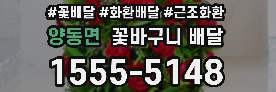 양동면 꽃바구니 배달
