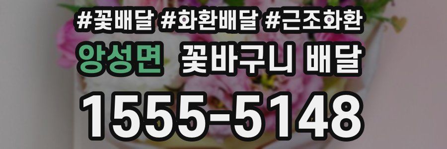 앙성면 꽃바구니 배달