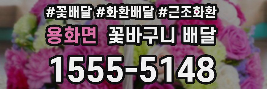 용화면 꽃바구니 배달