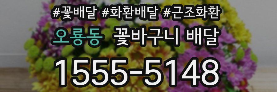 오룡동 꽃바구니 배달