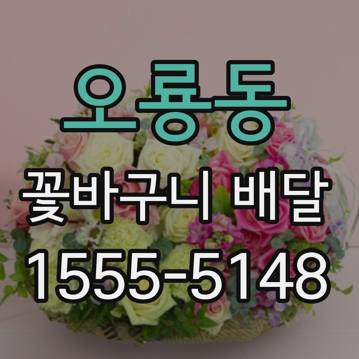 오룡동 꽃바구니 배달