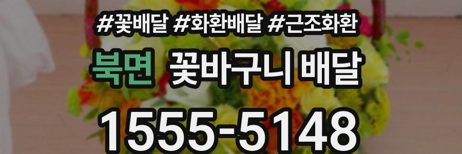 북면 꽃바구니 배달