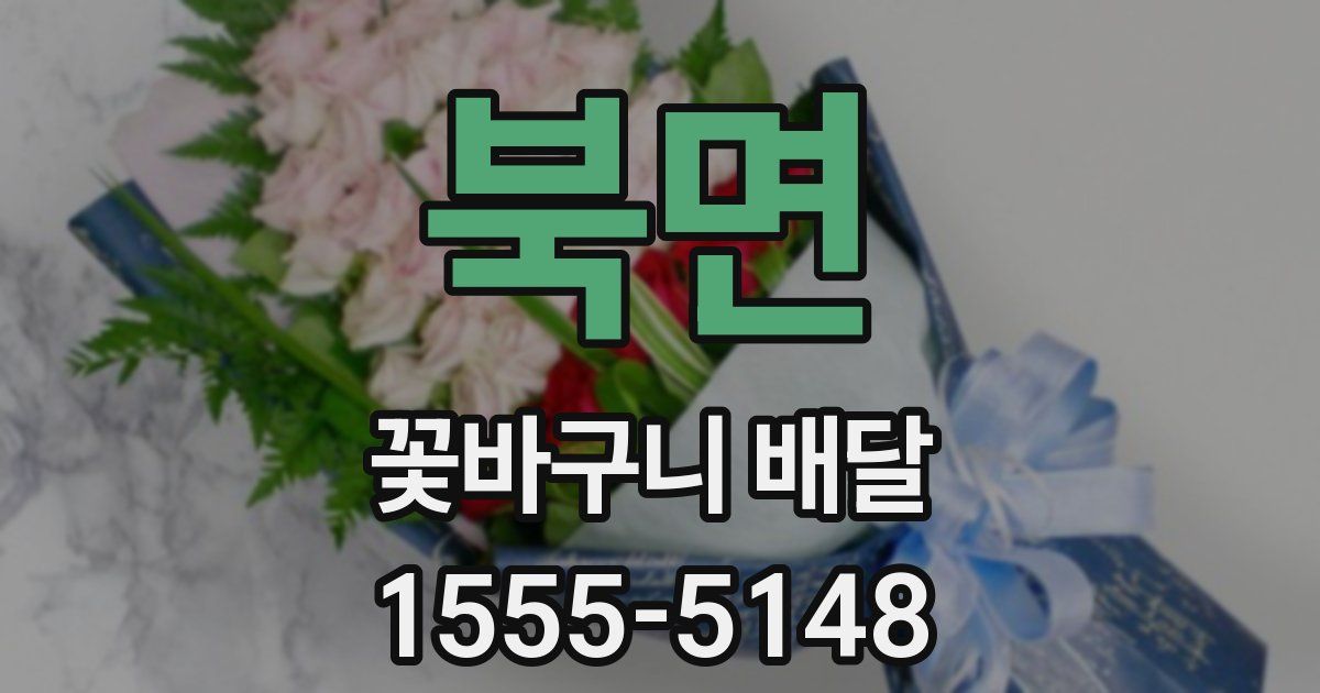 북면 꽃바구니 배달