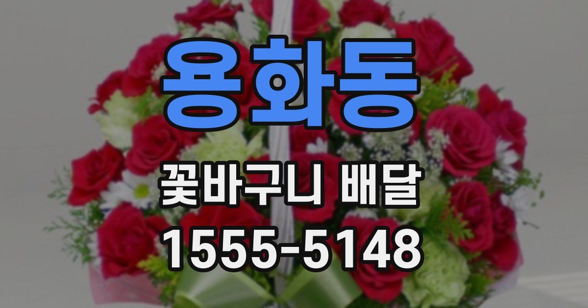 용화동 꽃바구니 배달